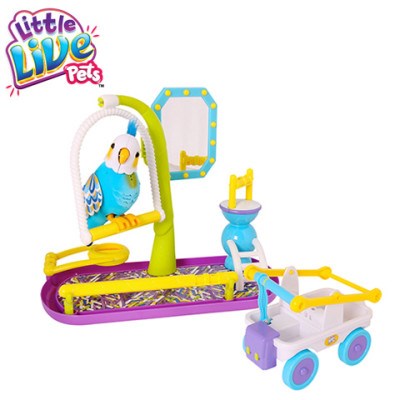 Little Live Pets Clever Keet Talking Bir