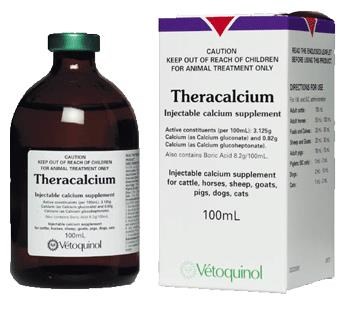 Theracalcium Calcium Supplement 100mL