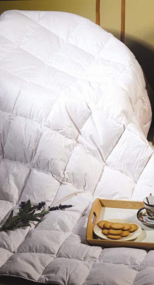 100% White Duck Feather Duvet / Doona /Q