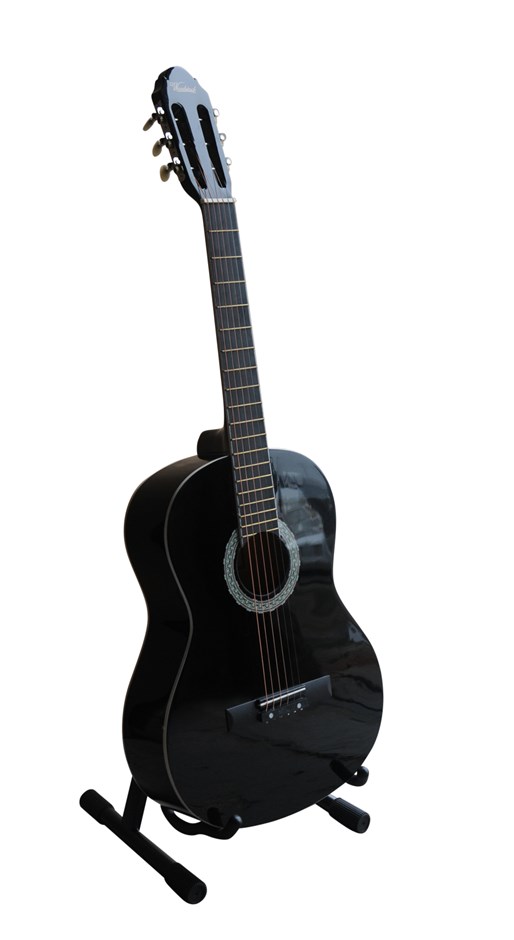 Woodstock 39" Acoustic Guitar with Bag -