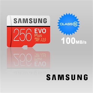 Samsung 256GB UHS-I Plus EVO CLASS 10 U3