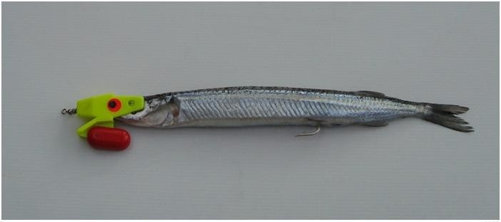 Head Start Lure Pack: 2 Snap-On Trolling