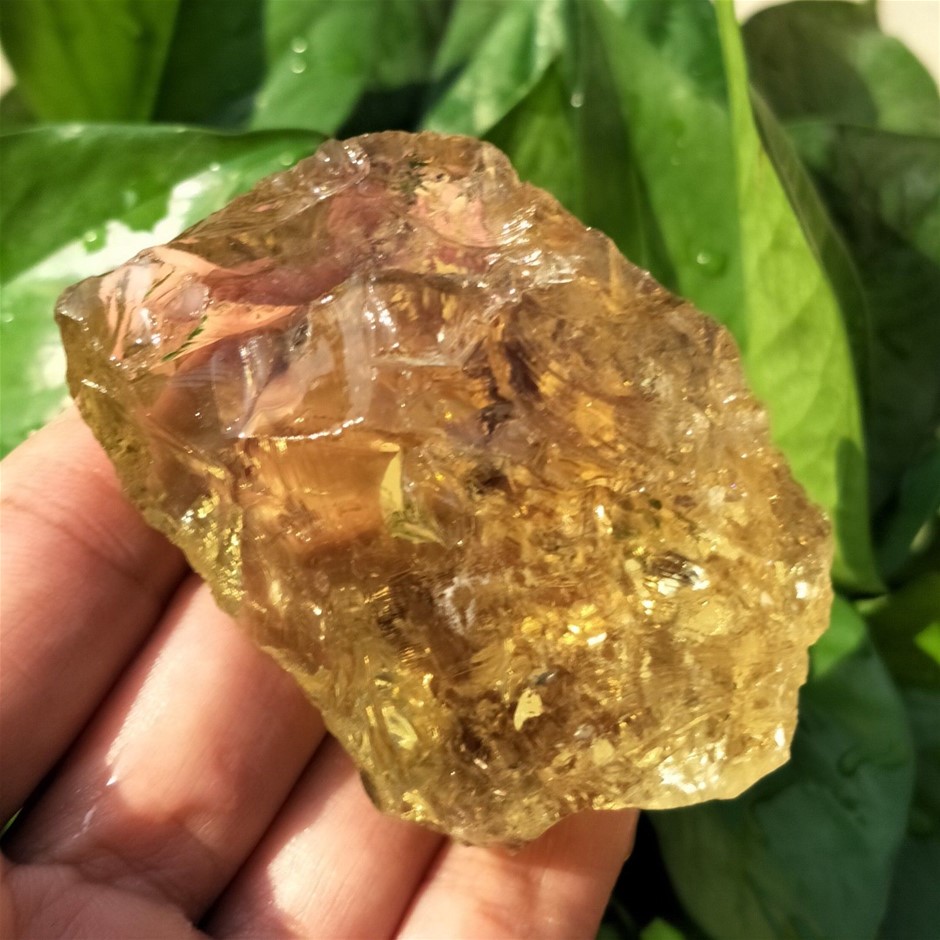 504ct Natural Rough Yellow Rose Quartz Crystal Auction (00162519067