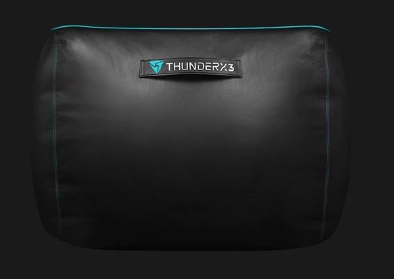 Thunderx3 bean online bag