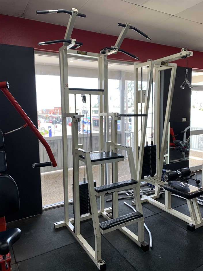 Technogym Assisted Chin Up/Dip Machine Auction (00015040415) Grays Australia