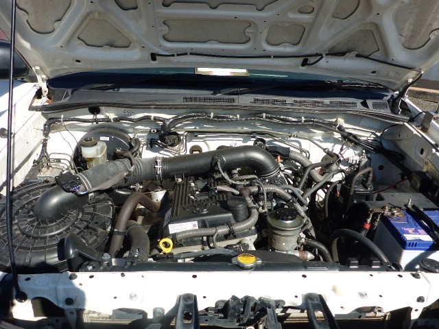 7-8mm Pearl & Amethyst with Real Platinum Plated Necklace