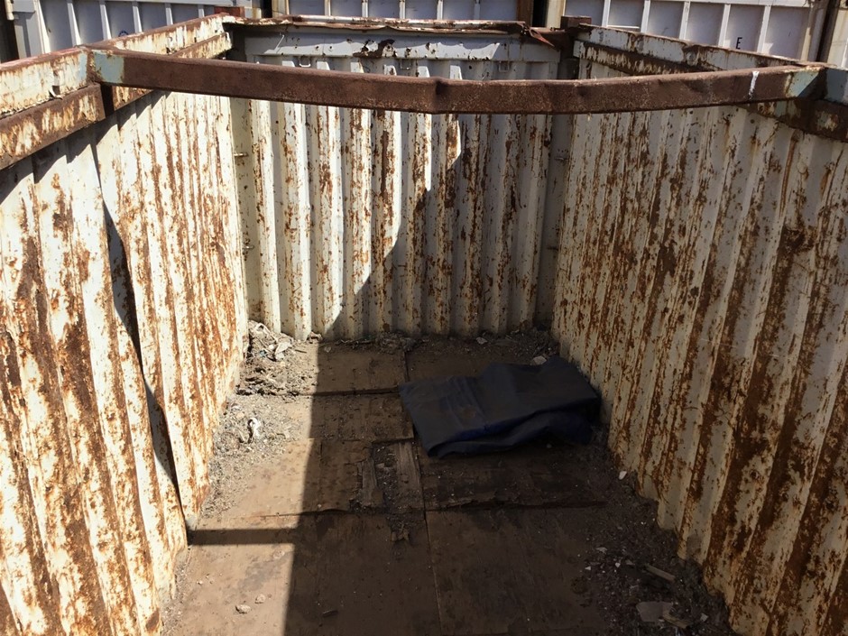 Tiger Eye Gemstone Gold Stardust Drop Earrings