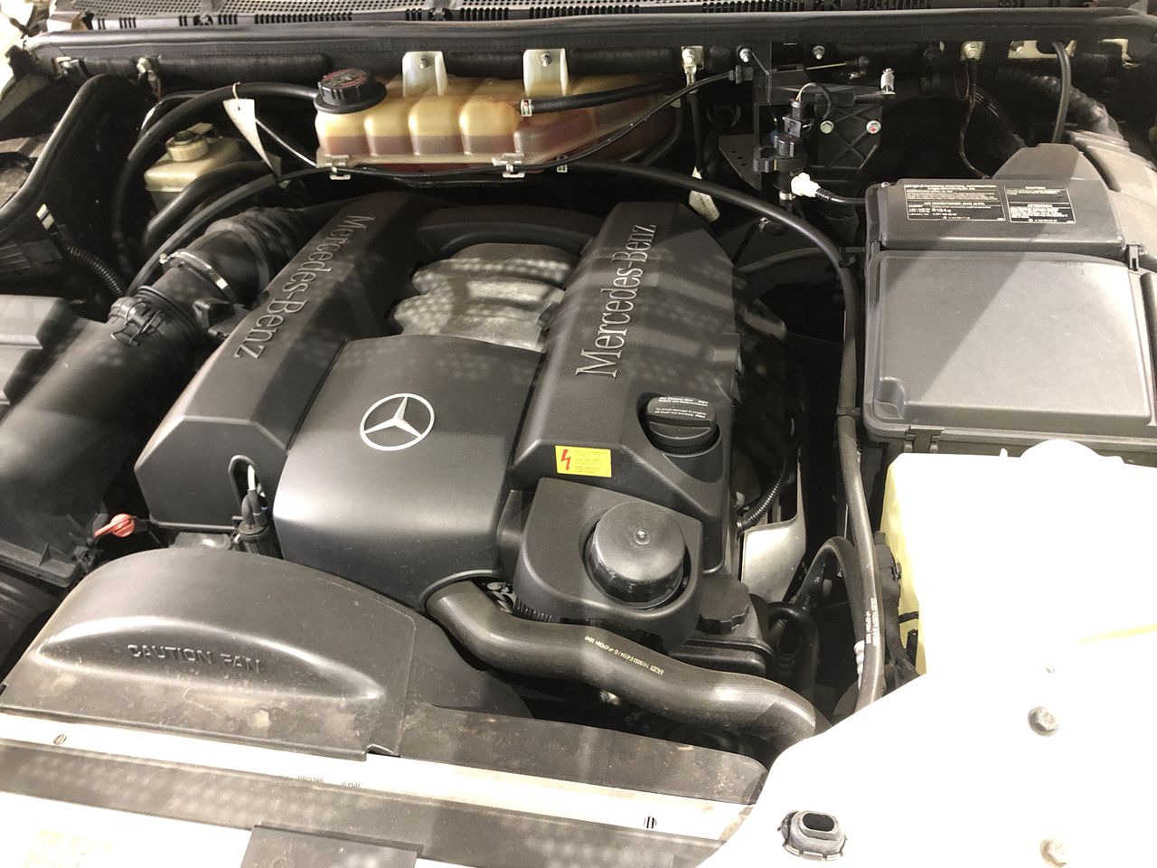 Barramundi Sauvignon Blanc 2023 (12x 750mL) SEA