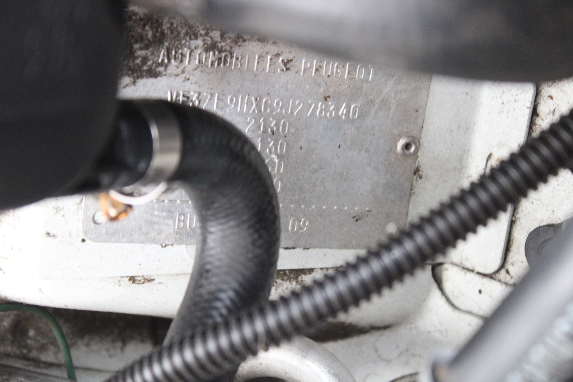 1/10 Oz 999.5 Silver Brumby 2025 Australian Bullion Merchants Round