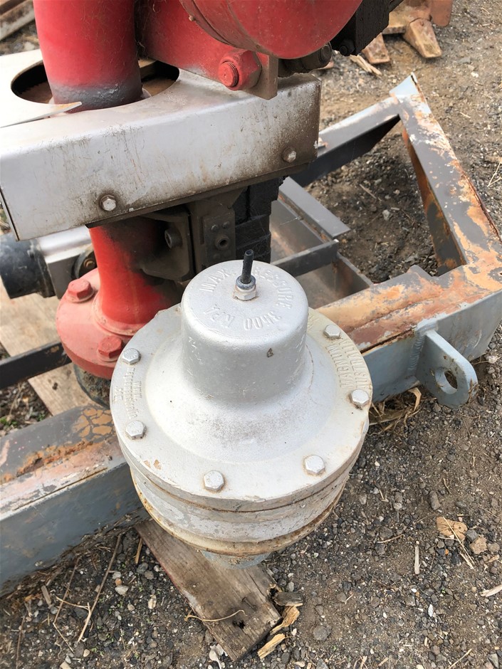 Stainless Steel Chunky Chain Link Bracelet in Gold (adjustable)