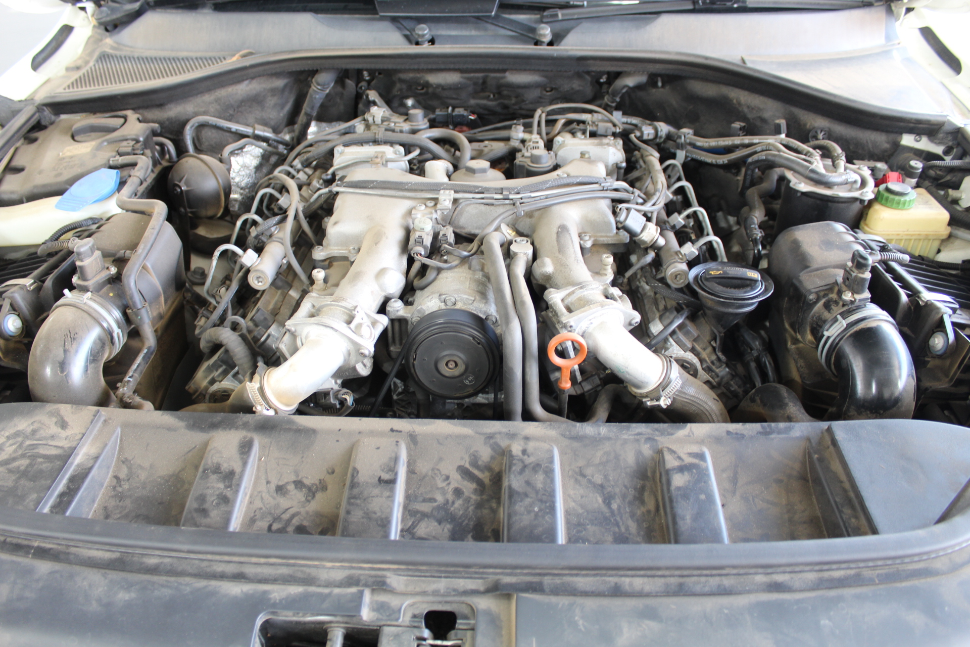 PENFOLDS Bin 707 2005 (1x 750mL), South Australia. 5* Prov