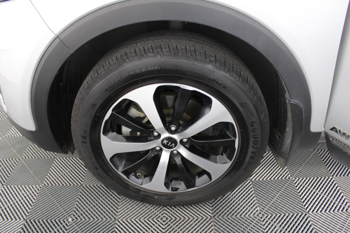 Cleanskin Sauvignon Blanc 2025 (12x 750mL) SA