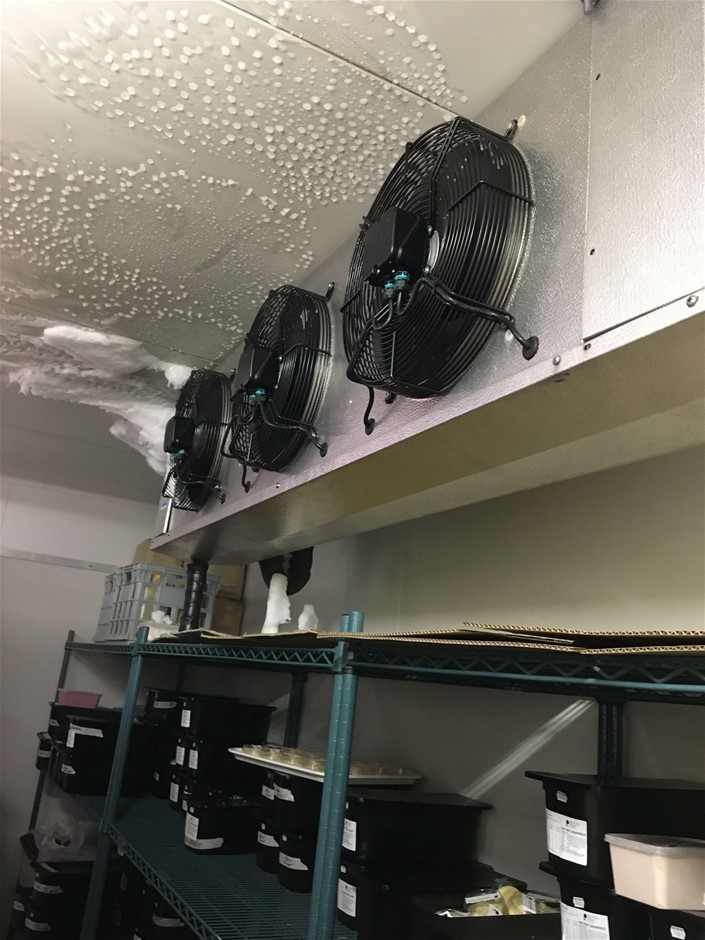 18K Gold-Filled Cuban Curb Chain Bracelet, 8MM Wide - 20.3cm