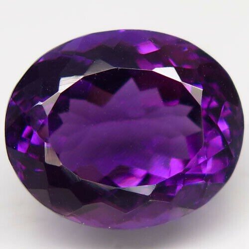 GO SPORTS Premium Cornhole Carrying Case (Regulation Size: 4ft x 2ft).