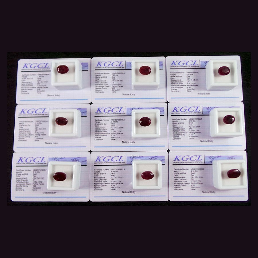 Selamica 6 Pack Small Ceramic Dessert Plates for Kitchen, Mini Dinner Plate