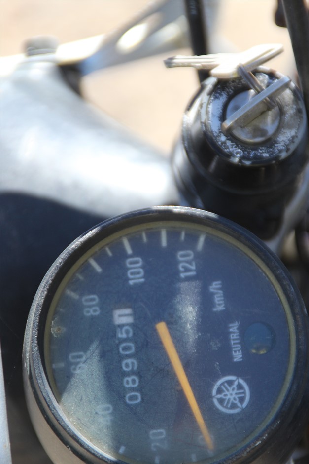 1/10 Oz 999.5 Silver Brumby 2025 Australian Bullion Merchants Round