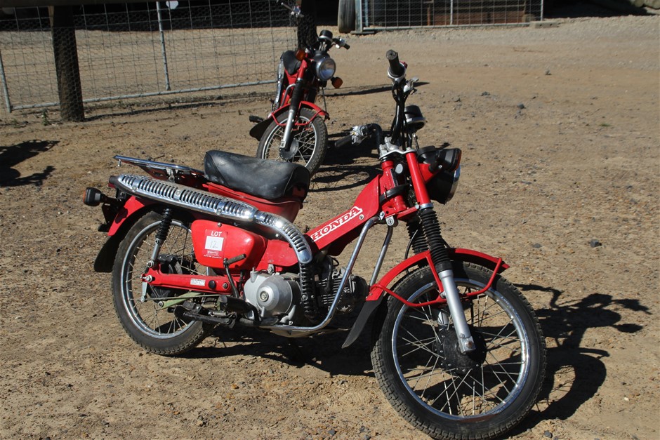 Little Giant 'Organic' Pet Nat 2022 (6x 750mL) SA