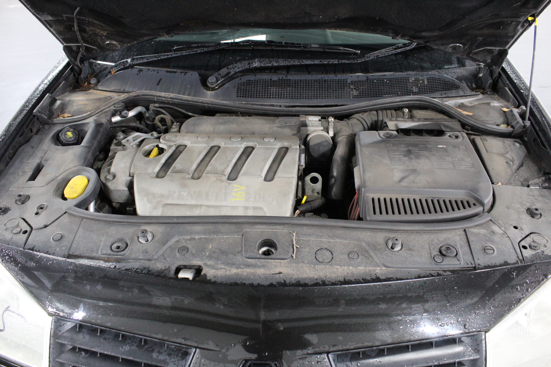 GreenPan Bistro Rice and Grains Cooker 2L White, PFAS & PFOA-Free Removable