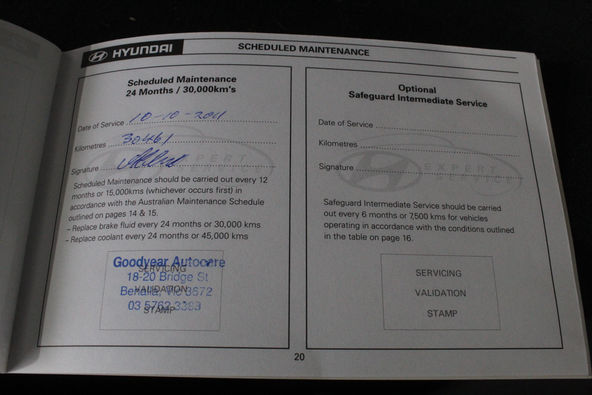 TOMMY HILFIGER Women's Ivy V-Neck Sweater, Size M, 100% Cotton, 615 Scarlet