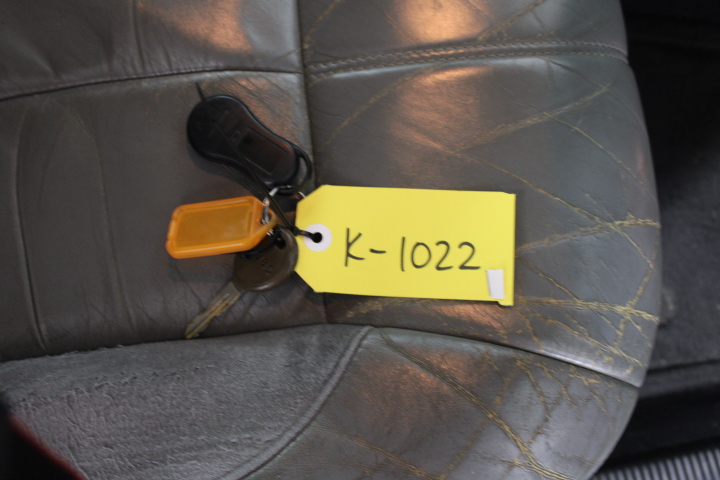 DeWALT 18V XR 5.0Ah Li-ion Cordless Brushless 200mm (7-3/4") Pole Saw Combo