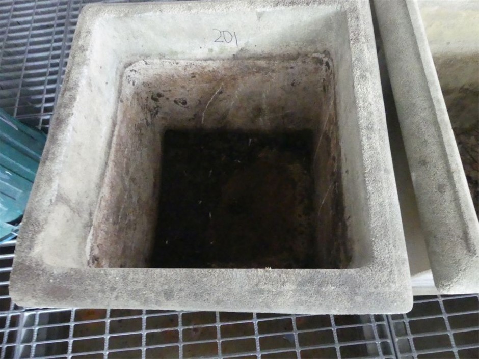 2 Monkeys Pinot Grigio 2025 (12x 750mL) SA