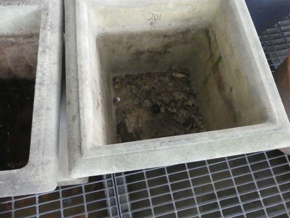 2 Monkeys Sauvignon Blanc 2025 (12x 750mL) SA