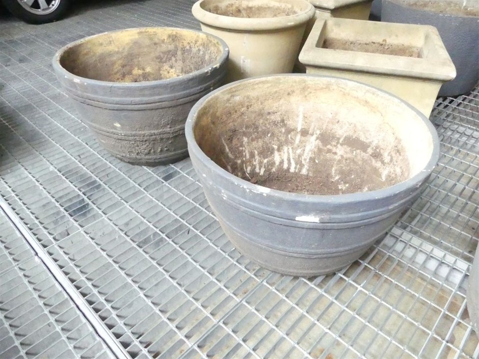 Pioneers First Patch Pinot Noir 2024 (12x 750mL) SA