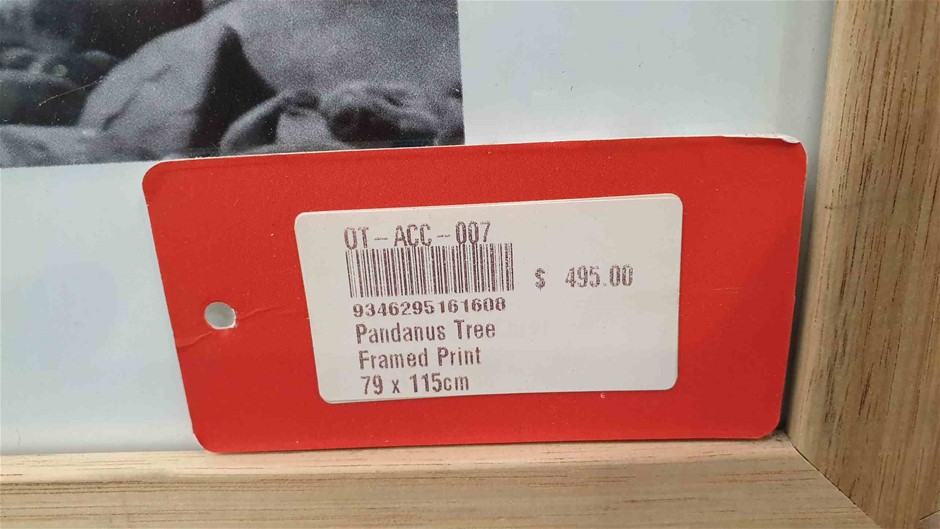 Pioneer Road Shiraz 2021 (6x 750mL) Langhorne Creek