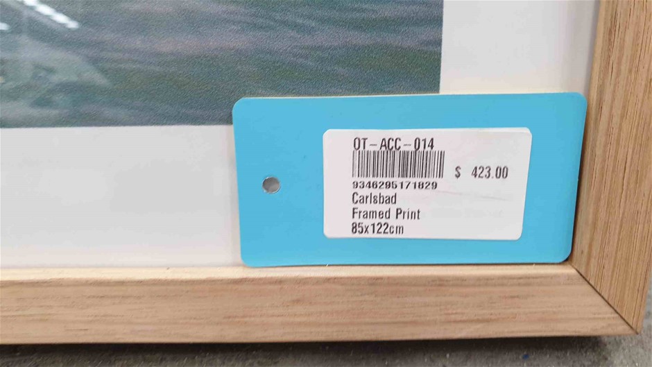 Pioneers First Patch Pinot Noir 2024 (12x 750mL) SA