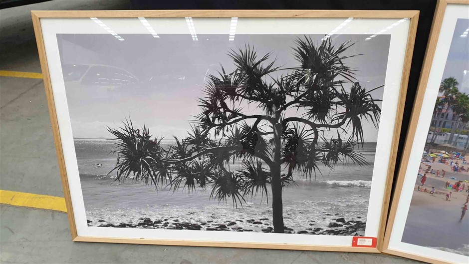 Pioneers First Patch Shiraz 2022 (12x 750mL) SA