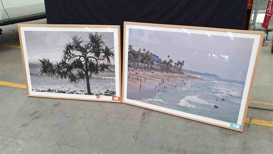 Pioneers First Patch Tempranillo 2024 (12x 750mL) SA