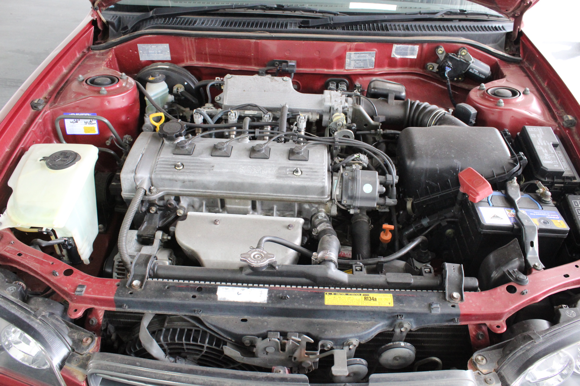 Bleasdale Bremerview Shiraz 2023 (6x 750mL). SA