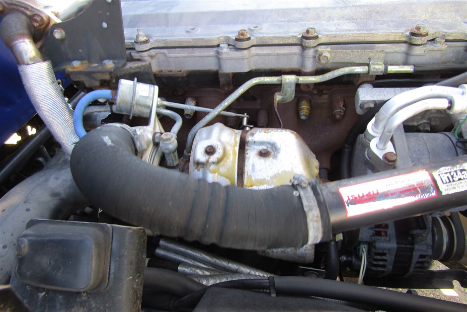 Elephant in the Room Pinot Gris 2025 (6x 750mL).