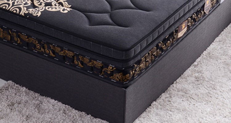 Thomson Estate Vine Dried Shiraz 2022 (12x 750mL) SA