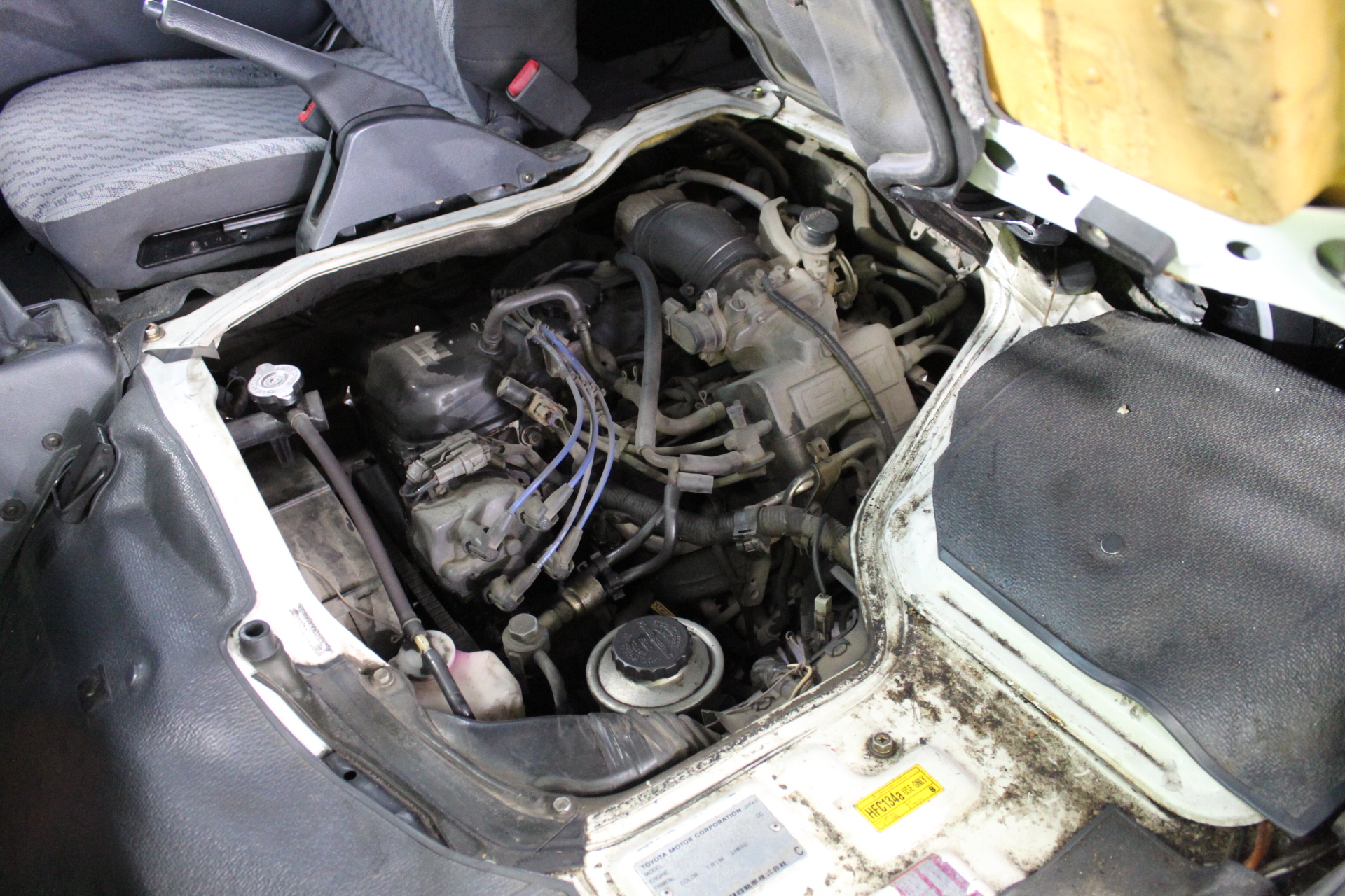 2025 Solar Street Light (Unused)