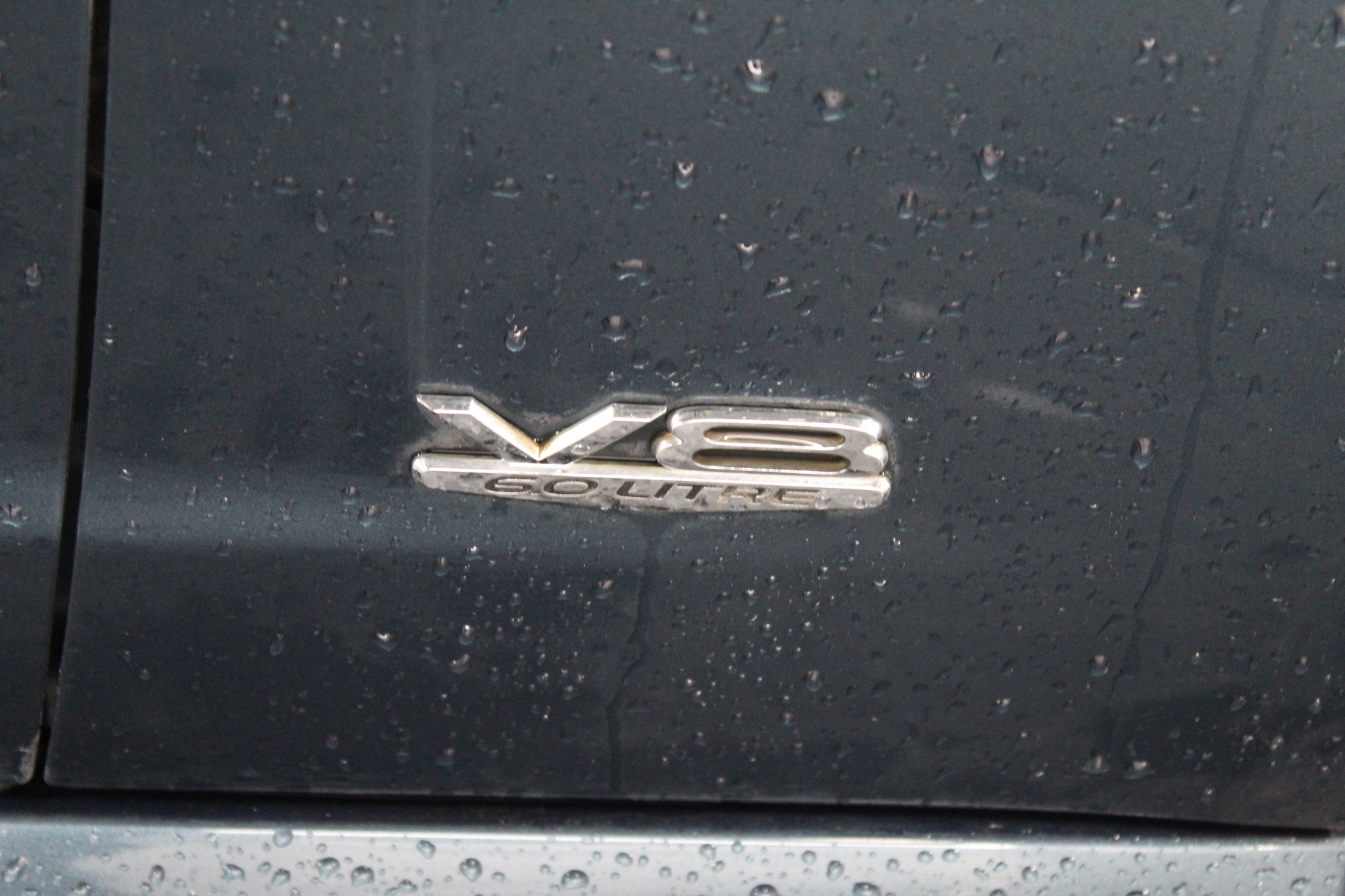 Livestock Ahead Sign