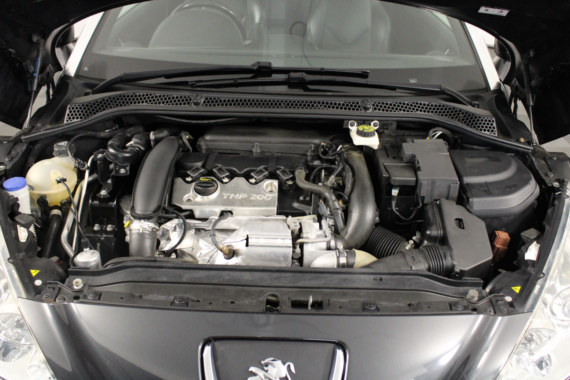 Wine For Yoga Lovers Moscato 2023 (12x 750mL) SA