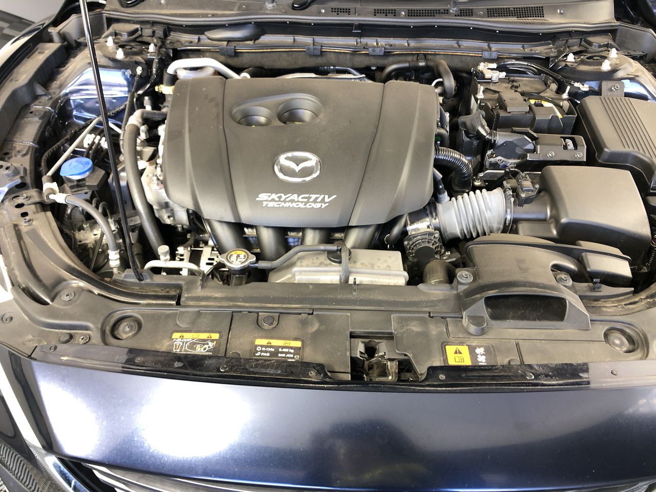 Citizen Promaster Limited Edition Automatic Divers Watch