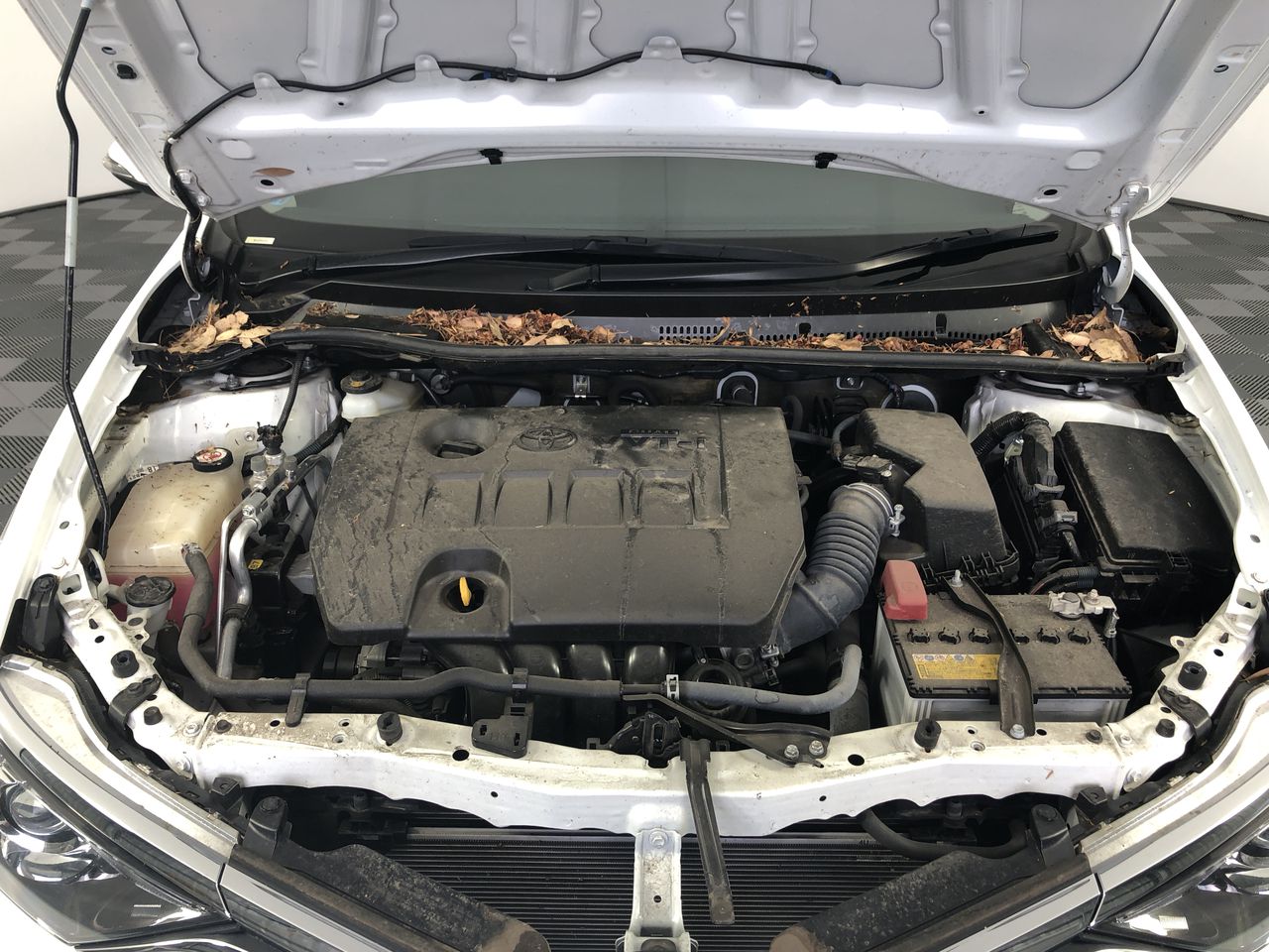 Heavy duty 40ft Container shelter with endwall (Unused)