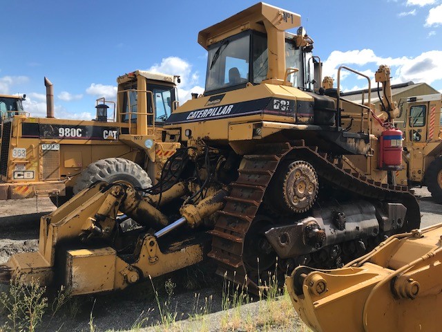 9 x SUNRICE Pack of 2pc Quick Cups Brown Rice 125g.