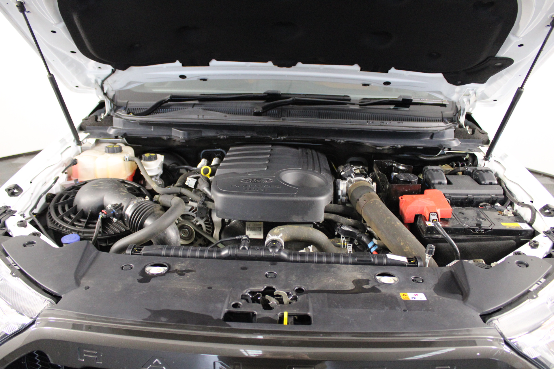 Step Road Blackwing Cabernet Sauvignon 2018 (6x 750mL) McLaren Vale, SA