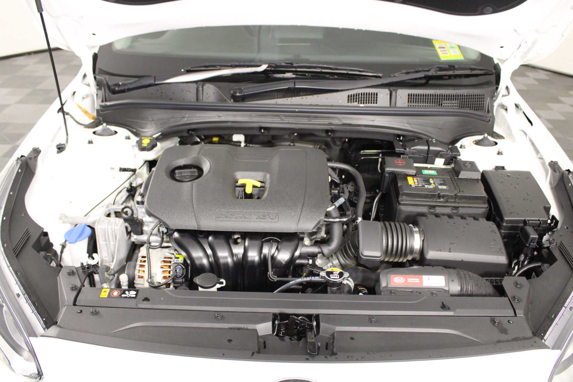 Woolpunda Chardonnay 2025 (12x 750mL) SA