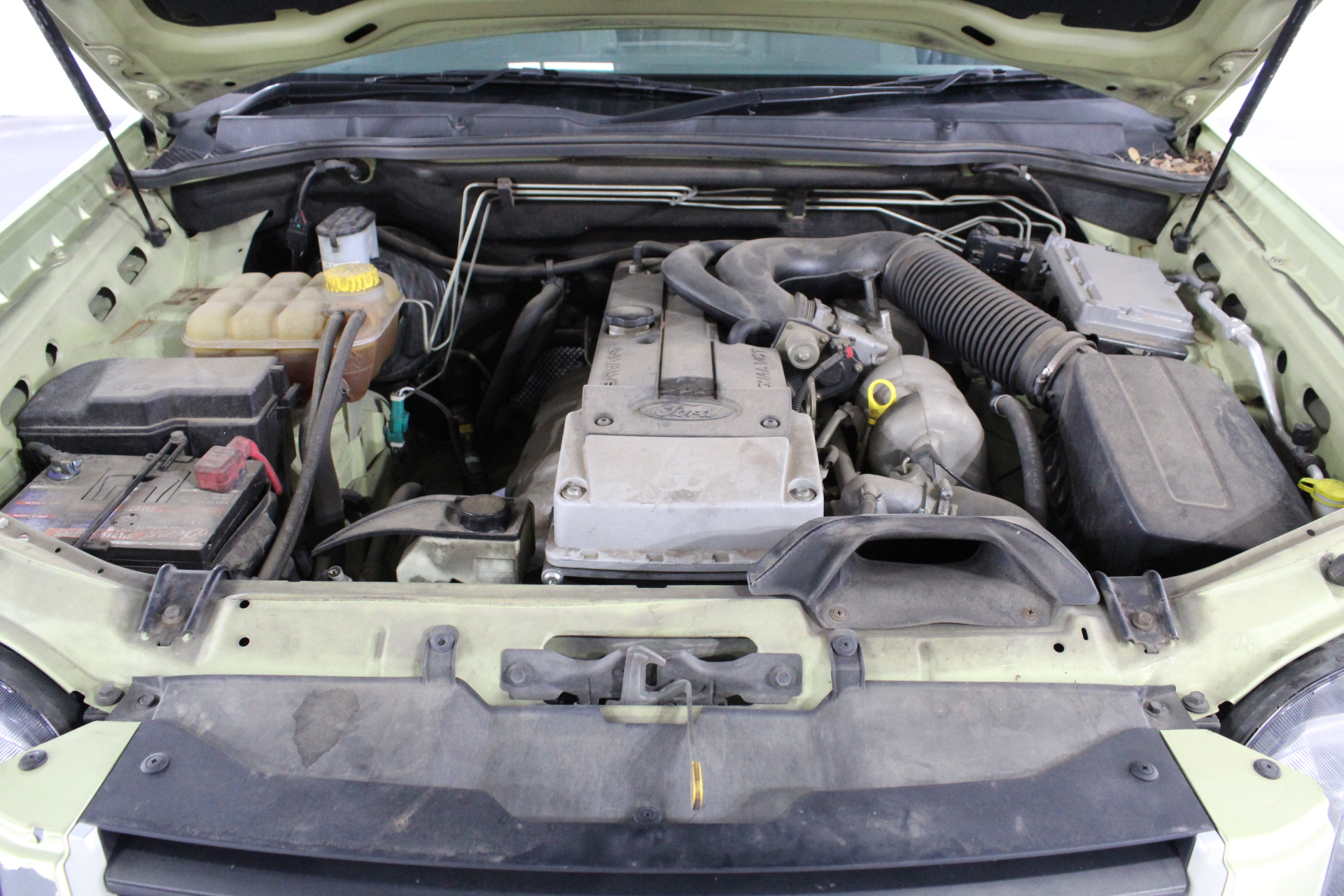 Circle of Friends Pink Moscato Slimline Cans NV (24x 250mL) Limestone Coast