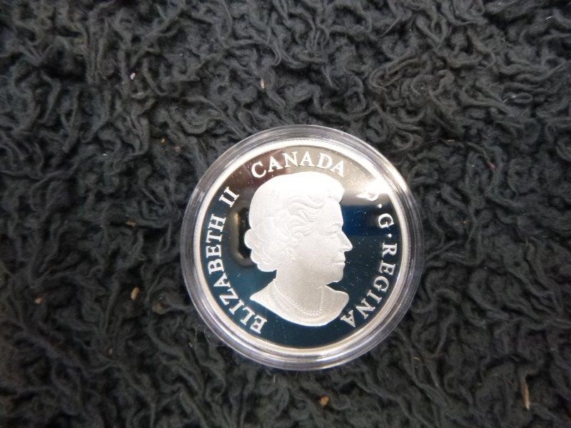 Pioneers First Patch Sauvignon Blanc 2023 (12x 750mL) SA