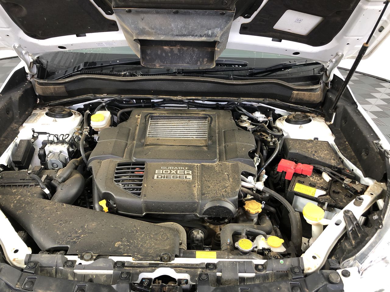 Byrne Double Pass Shiraz 2022 (12x 750mL) SA