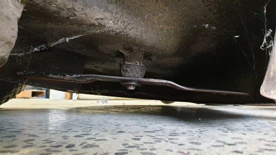 FILA Women's Amy Tee, White, Medium.