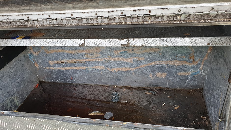 Hazelview Shiraz 2021 (12x 750mL) Langhorne Creek