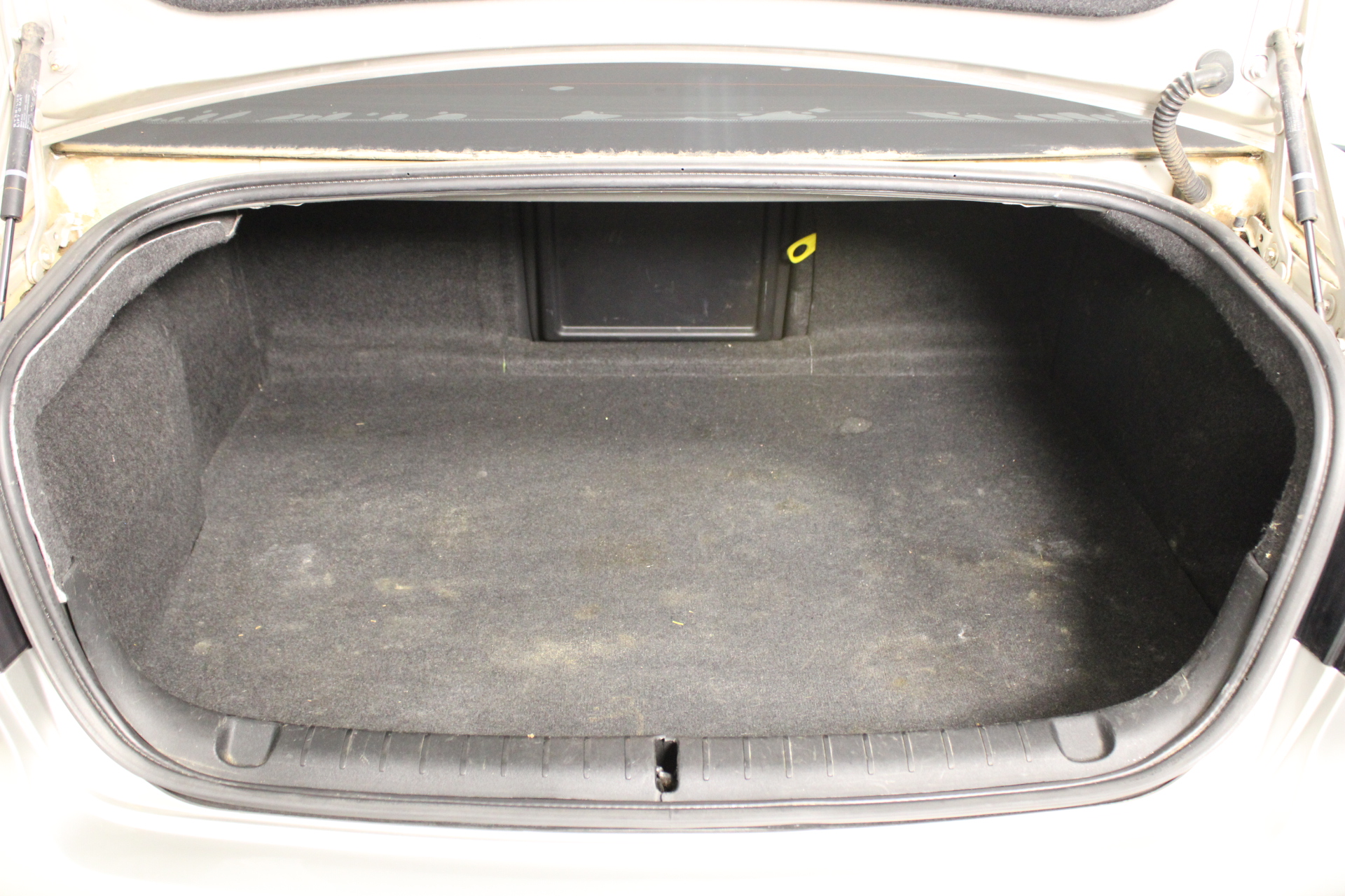 2017 Ford Ranger XLT 4X2 Hi-Rider PX II Turbo Diesel Automatic Ute