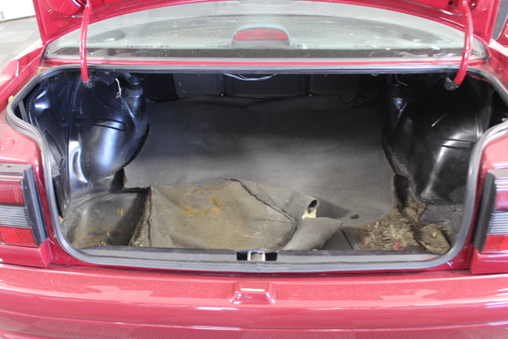 Redbank King Valley Pinot Grigio 2025 (6 x 750mL)