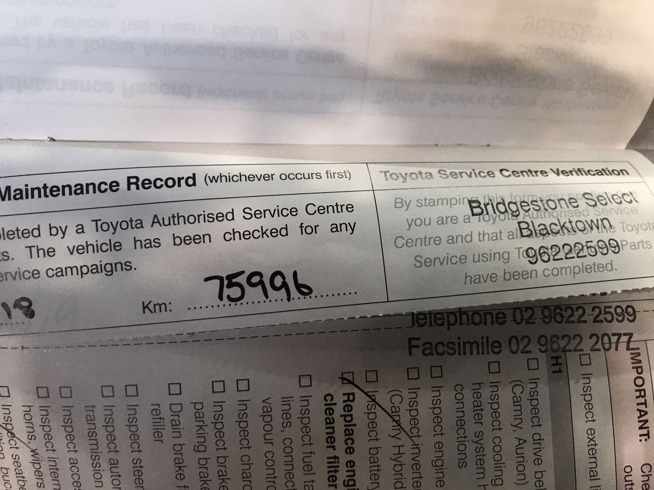 Amethyst & Blister Pearl Pendant Charm Link Necklace